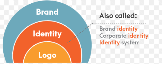 Logo & Brand Identity